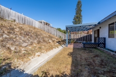 020_Backyard