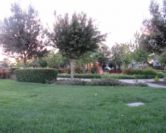 020_Community Park